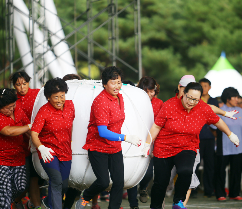 전국 한우곤포 나르기 대회(전국부 여성부)